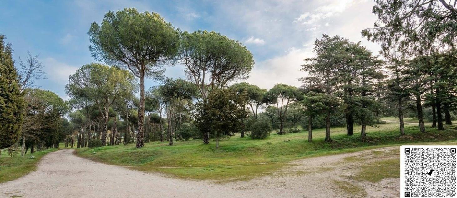 Apartamento Las Rozas Centro Con Parking Incluido Zewnętrze zdjęcie
